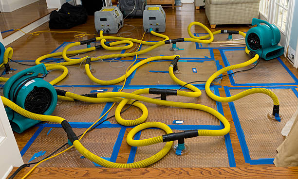 Professional Water Extraction technician working in Jefferson, OH